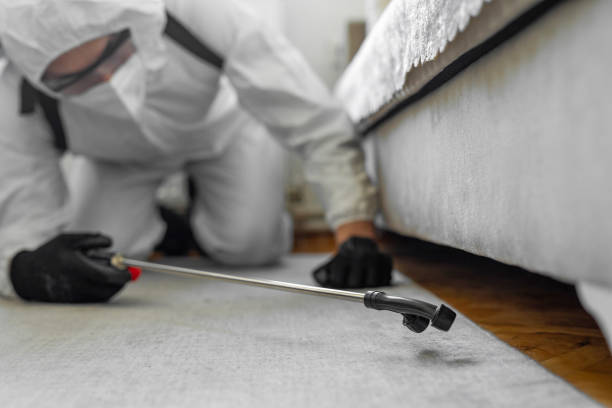Professional Bed Bug Control technician working in Tazewell, VA