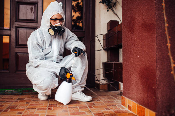 Reliable Bed Bug Control contractor in Tazewell, VA by Nex Pest Control